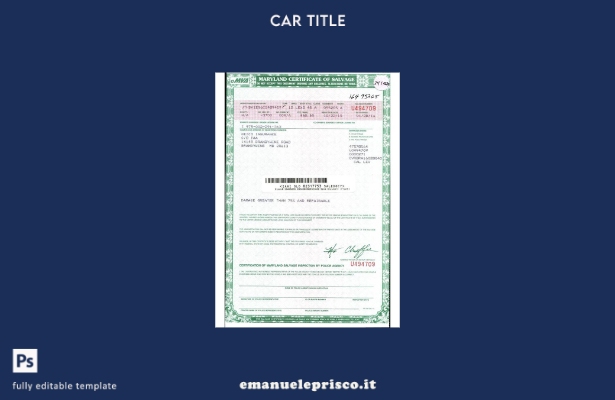 modello di certificato di salvataggio di stile verificato USA Maryland